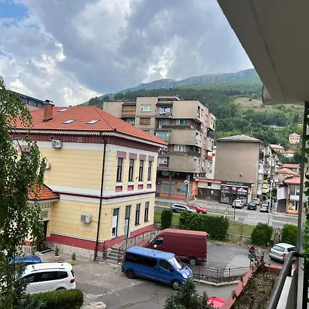 Emma Daire Travnik